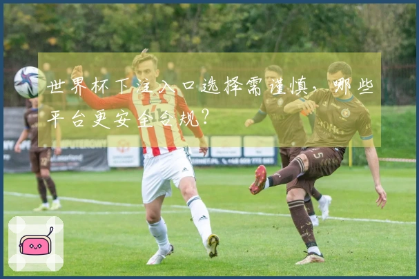 世界杯下注入口选择需谨慎，哪些平台更安全合规？