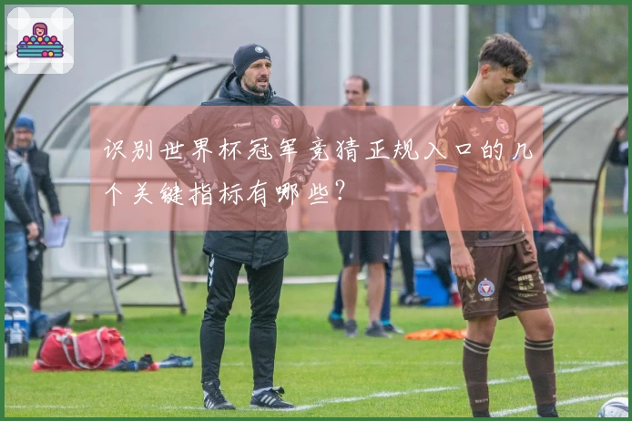 识别世界杯冠军竞猜正规入口的几个关键指标有哪些？