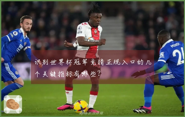 识别世界杯冠军竞猜正规入口的几个关键指标有哪些？