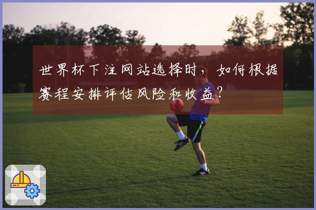 世界杯下注网站选择时，如何根据赛程安排评估风险和收益？