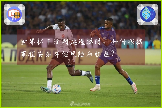 世界杯下注网站选择时，如何根据赛程安排评估风险和收益？