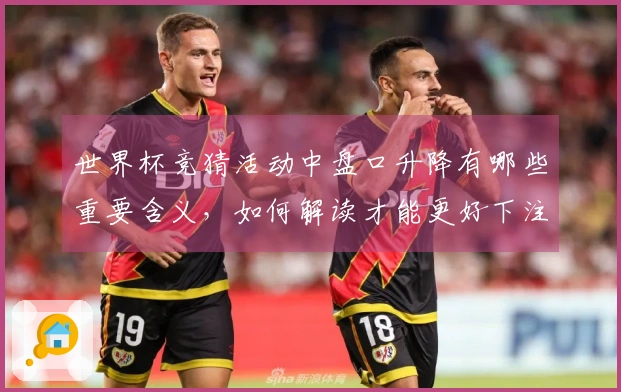 世界杯竞猜活动中盘口升降有哪些重要含义，如何解读才能更好下注？
